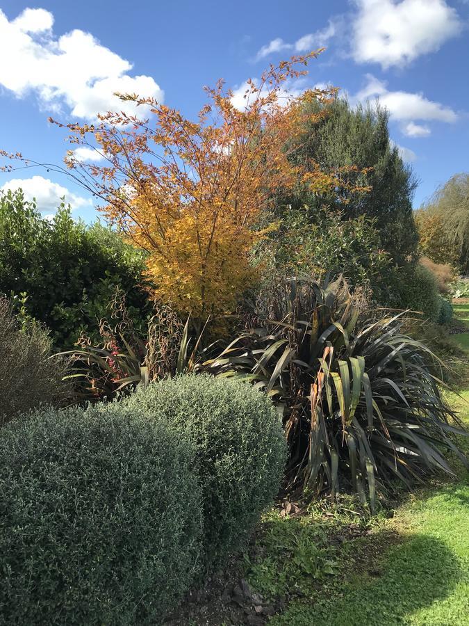 40 Winks Bed & Breakfast Otorohanga Luaran gambar